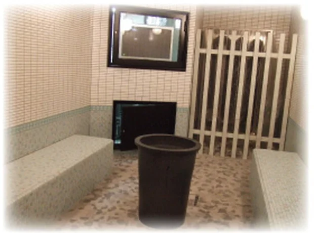 癒しの里 伊賀の湯（閉館しました）