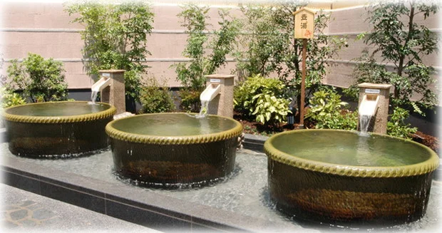 癒しの里 伊賀の湯（閉館しました）