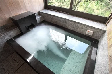 ホテル湯の本