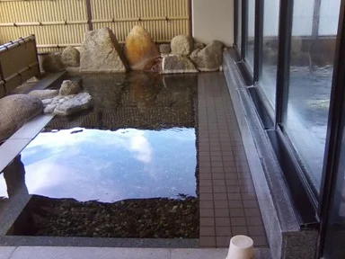 入鹿温泉 ホテル 瀞流荘