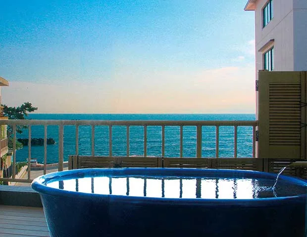 宝来荘(閉館しました)