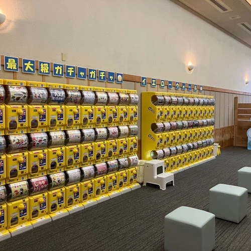 フォトアルバム11