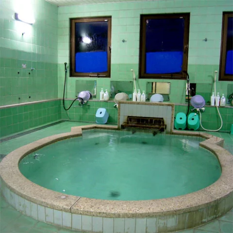 パールグルメイン竹正 - 三重県