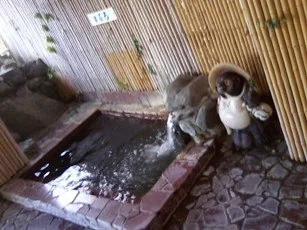 青蓮寺レークホテル