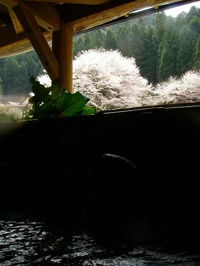 湯元山荘 湯ノ口温泉