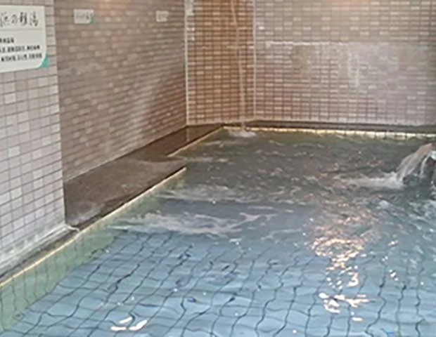 浜の雅亭一井