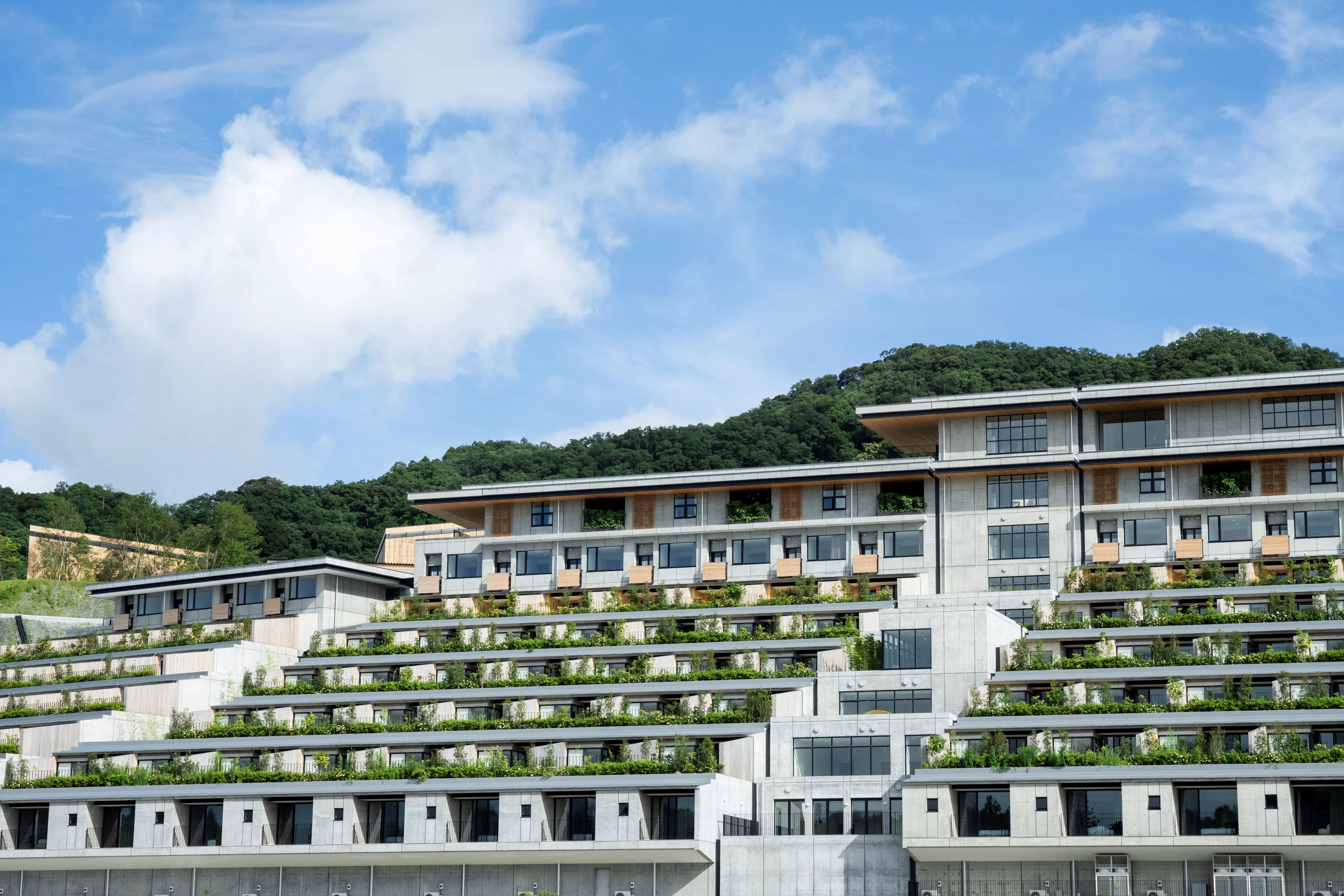 トップメイン画像6