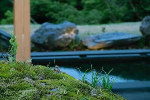 フォトアルバム6