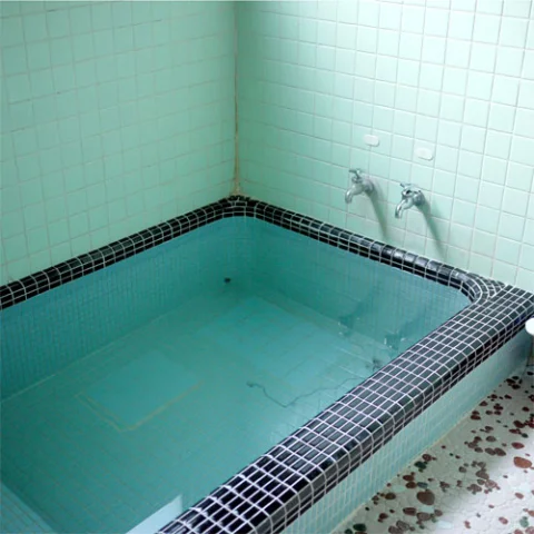 Yunoyama Onsen, Japanese-style Tourism Inn, Suigetsu - Mie