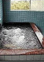 Awabi and Ise Ebi no Yado Tamaya - Mie