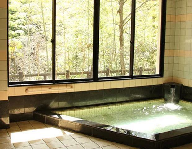 リフレッシュパーク市川　どんぐりころころ館　ころころの湯