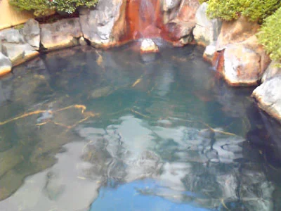 双葉温泉