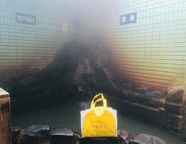 天然療養温泉 恵美寿湯