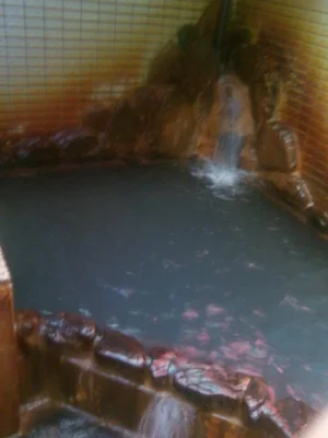 天然療養温泉 恵美寿湯