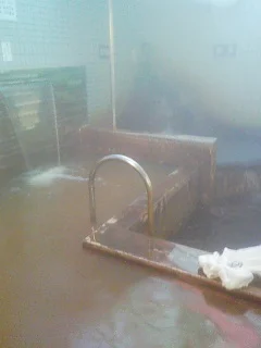 天然療養温泉 恵美寿湯