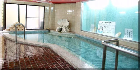 松島温泉 ホテル大松荘 - 宮城県