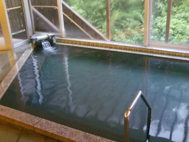 心温まる宿 ひだまり(閉館しました)