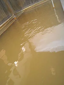 加古川天然温泉 ぷくぷくの湯