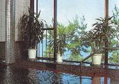 Shiki Oro Oro no Yado Iso no Ya - Hyogo