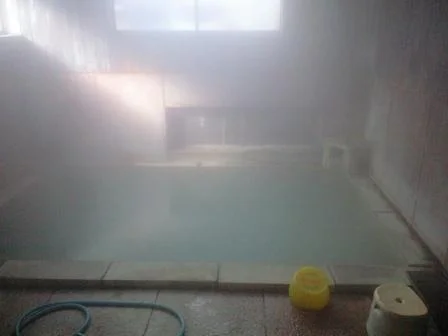 白い硫黄泉の宿 ふきゆ荘(閉館しました)