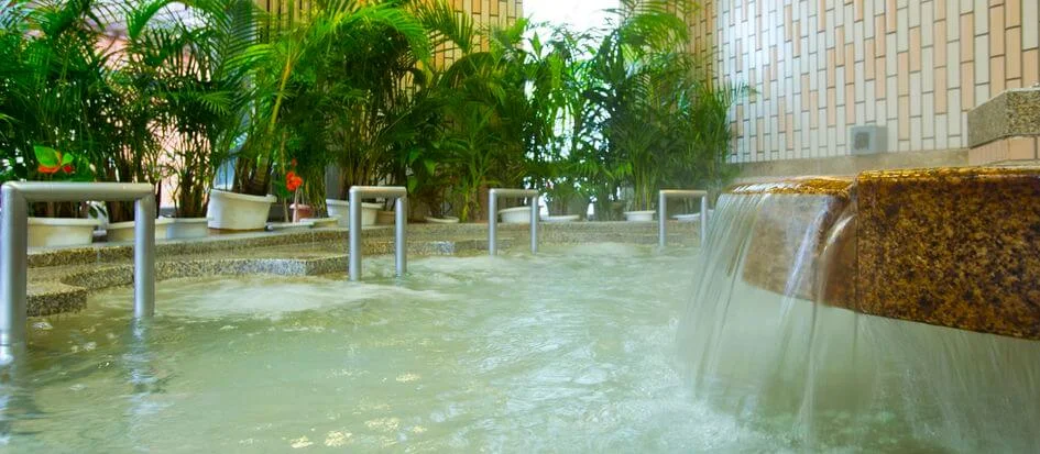 トップメイン画像2