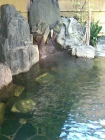 湯あそびひろば元湯 天然温泉 築地 戎湯（えびすゆ）