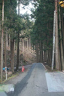 黒川温泉 美人の湯