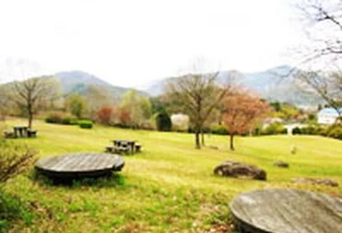 フォトアルバム14