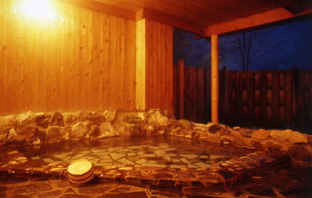 作並ホテル（さくなみホテル）(閉館しました)