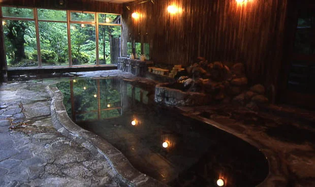 作並ホテル（さくなみホテル）(閉館しました)