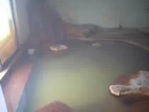 蔵王開拓温泉(閉館しました)