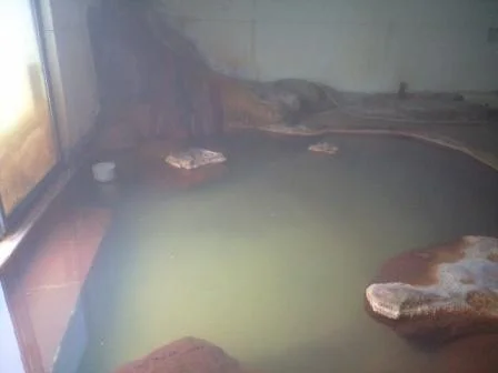 蔵王開拓温泉(閉館しました)