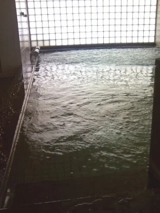 東山温泉メイプルプラザ