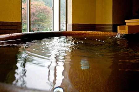 Kinosaki Onsen, Hotel Seri - Hyogo