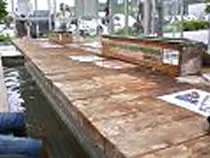 Higashiura Onsen Kasuki-yu - Hyogo