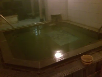 国民宿舎 慶野松原荘(閉館しました)