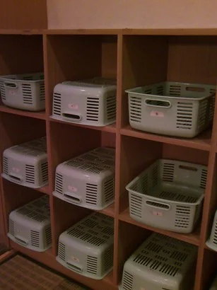 国民宿舎 慶野松原荘(閉館しました)