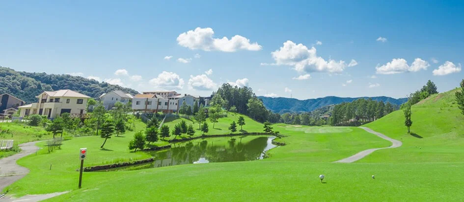 トップメイン画像1