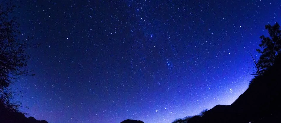 トップメイン画像4