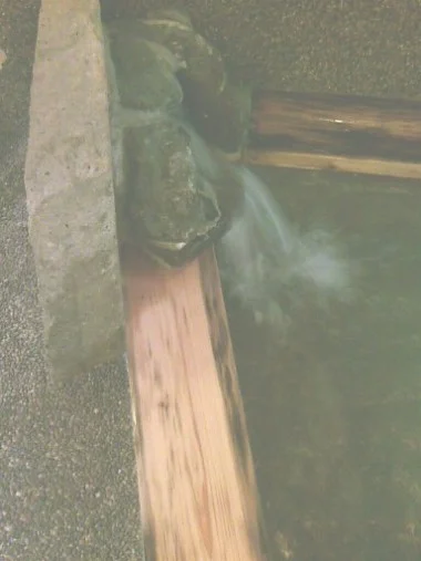 天然かさがた温泉せせらぎの湯