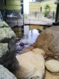 草山温泉やまもりの湯(旧 観音湯)