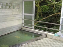 武田尾温泉 河鹿荘（閉館しました）