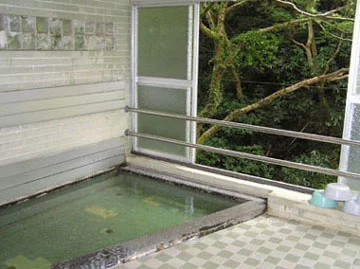 武田尾温泉 河鹿荘（閉館しました）