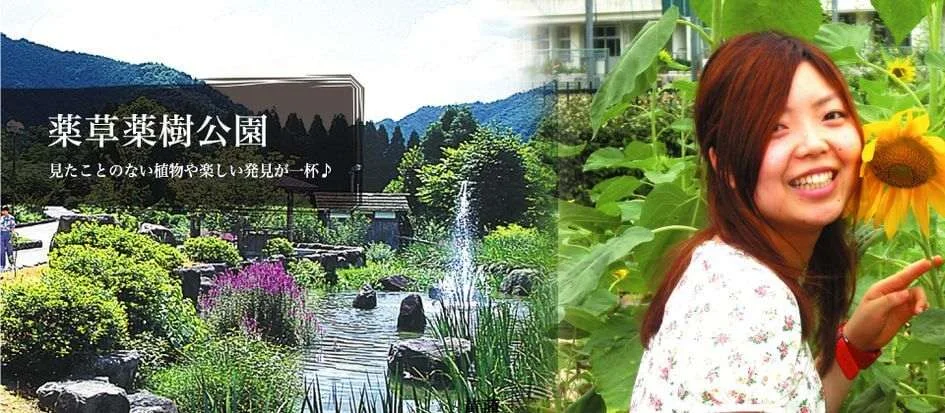 トップメイン画像2