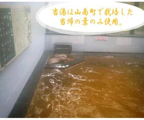 フォトアルバム2