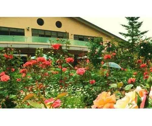 フォトアルバム9