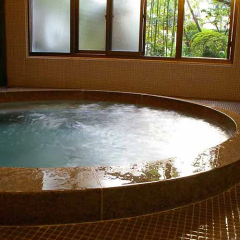 Kinosaki Onsen Oyado Hayakawa - Hyogo