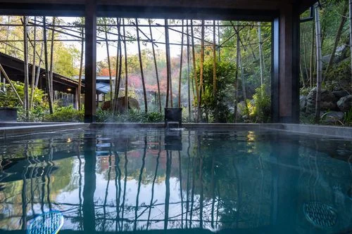 フォトアルバム5