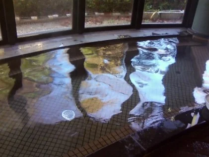 王地山公園ささやま荘（閉館しました）