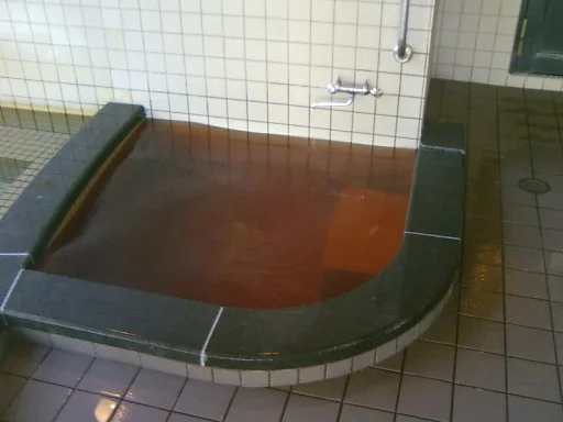 王地山公園ささやま荘（閉館しました）